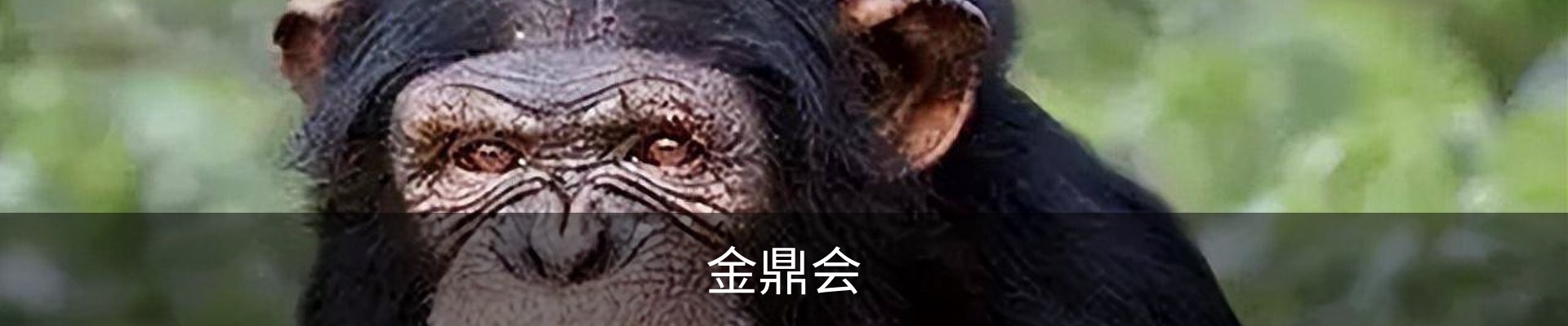 金鼎会官网 - 体育娱乐互动平台